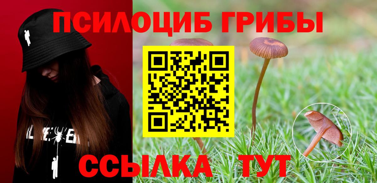 Мытищи  Псилоцибиновые грибы GOLDEN TEACHER  Вход с VPN 