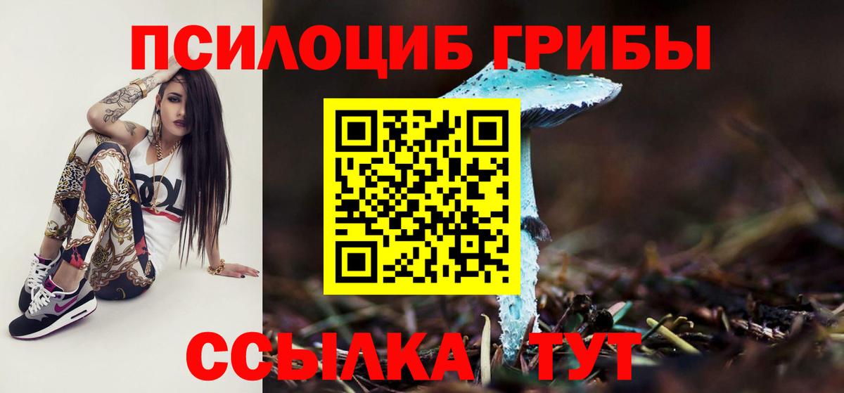 Псилоцибиновые грибы GOLDEN TEACHER Мытищи